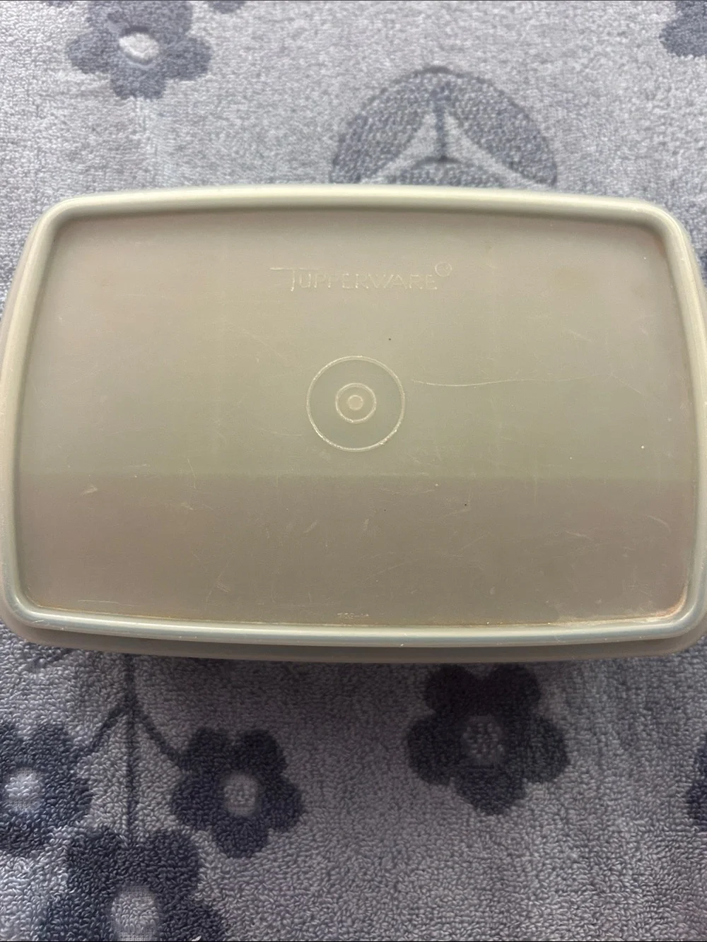 Vintage Tupperware Blue Divided snack container